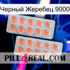 Черный Жеребец 9000 27